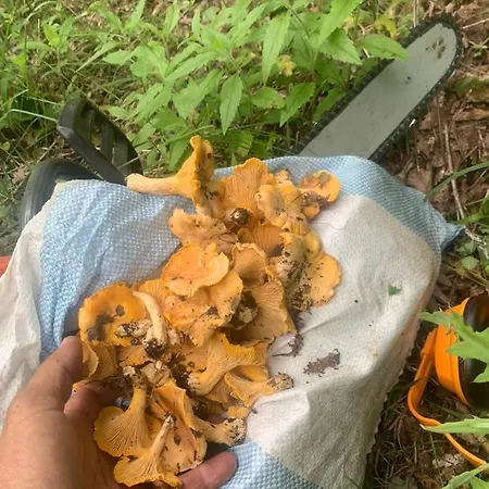 N'kanu Alojamento de Turismo Rural Rreshen