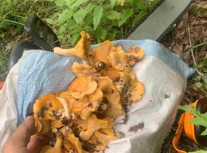 N'kanu 农家乐 Rreshen